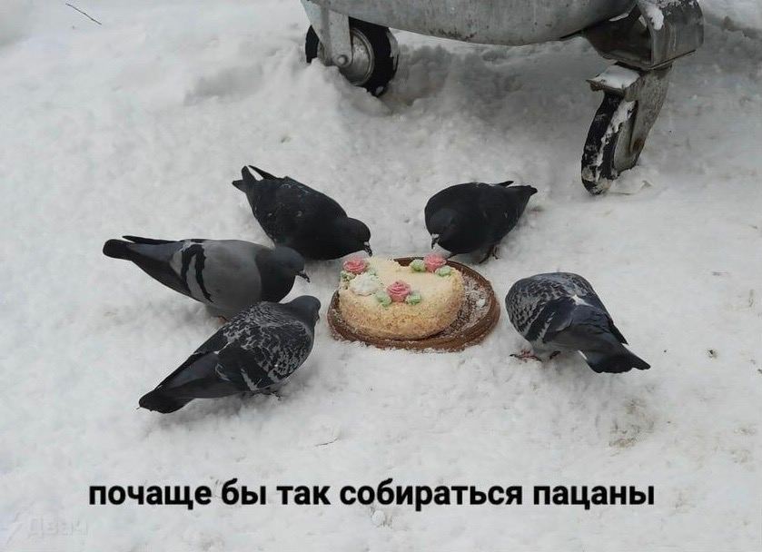 почаще бы так собираться пацаны