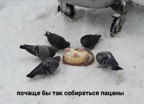 почаще бы так собираться пацаны