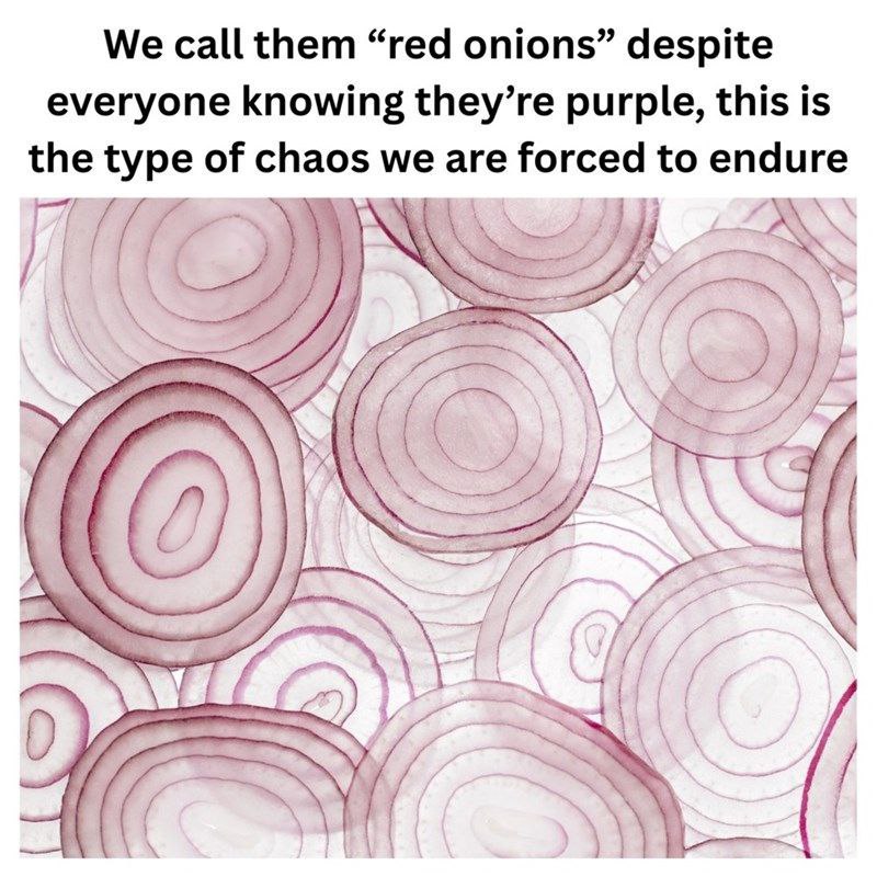 We call them “red onions” despite everyone knowing they’re purple, this is the type of chaos we are forced to endure 4