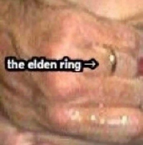 the elden ring