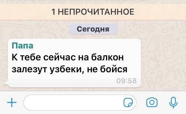 1 НЕПРОЧИТАННОЕ Сегодня Папа К тебе сейчас на балкон залезут узбеки, не бойся