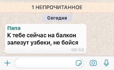 1 НЕПРОЧИТАННОЕ Сегодня Папа К тебе сейчас на балкон залезут узбеки, не бойся