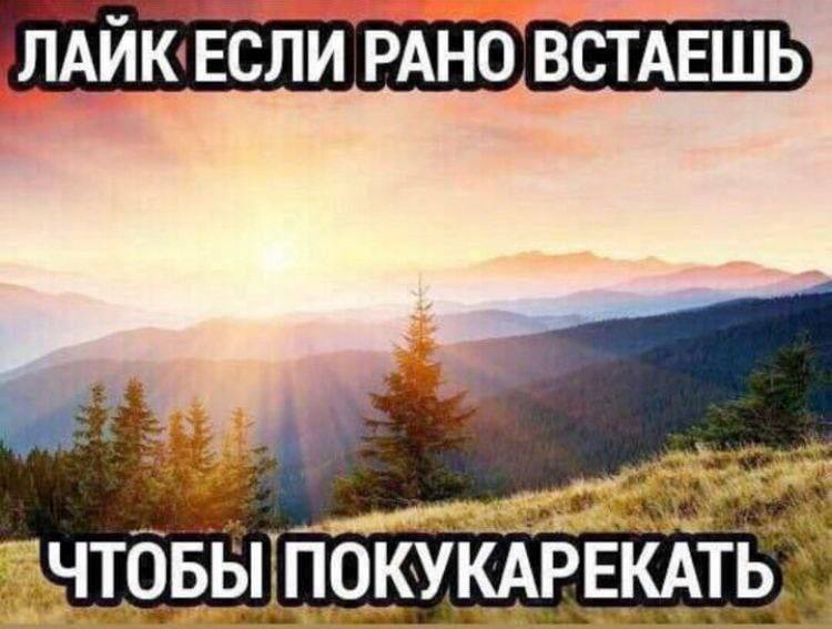 РАНО ВСТАЕШЬ &ЧТОБЫ ПОКУКАРЕКАТЬ