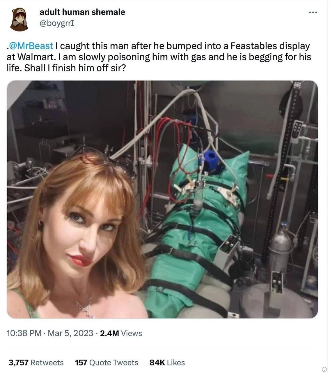 adult human shemale 8 -@MrBeast caught this man after he bumped into а Feastables display at Walmart. slowly poisoning him with gas and he is begging for his Shall finish him off sir? 10:38 Mar 5, 202