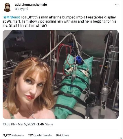 adult human shemale 8 -@MrBeast caught this man after he bumped into а Feastables display at Walmart. slowly poisoning him with gas and he is begging for his Shall finish him off sir? 10:38 Mar 5, 202