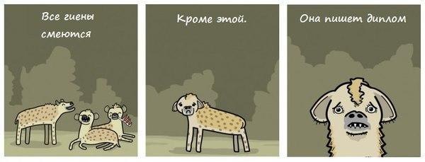 Все гиены Она Кроме смеюился