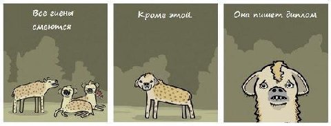 Все гиены Она Кроме смеюился