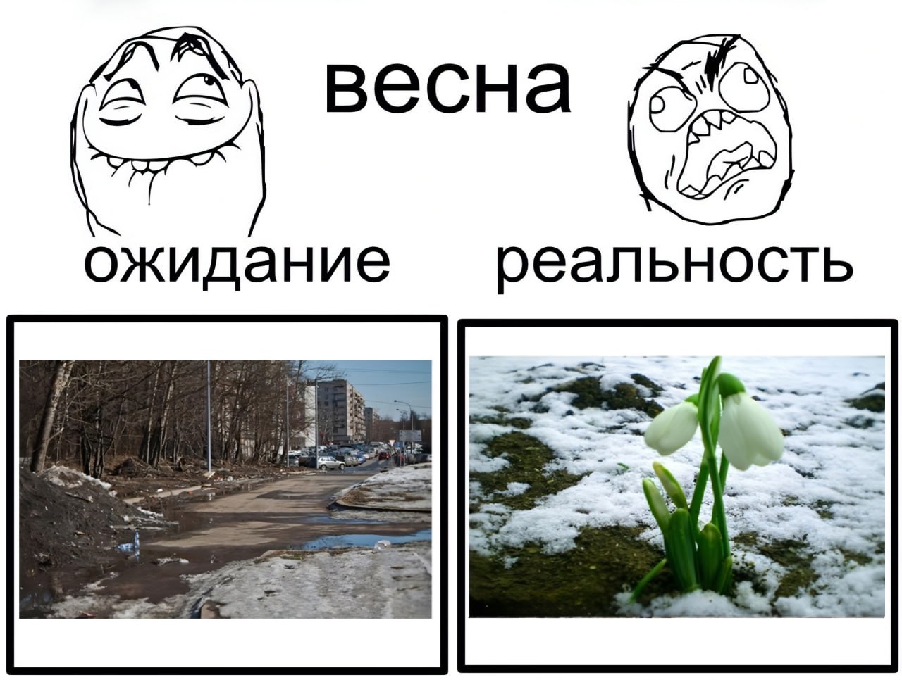 весна ожидание реальность