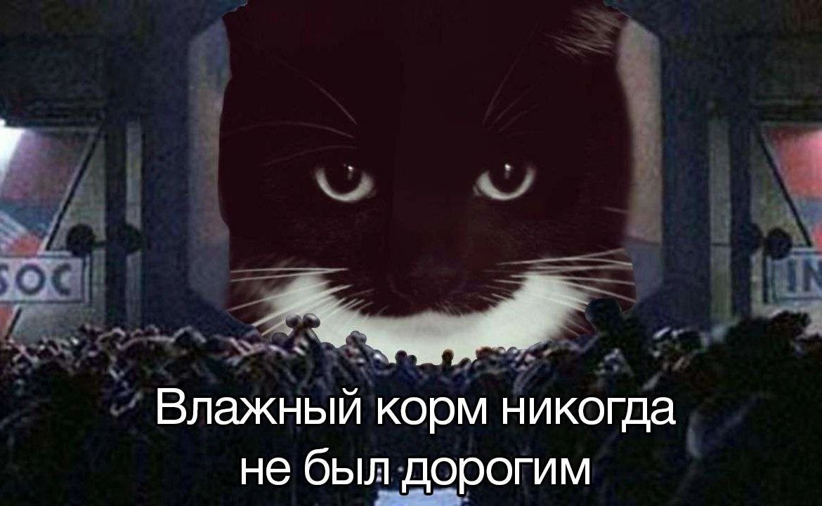 Влажный корм никогда не был дорогим