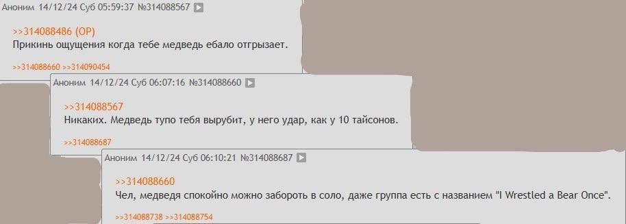 Аноним 14/12/24 Суб 05:59:37 №314088567 [9 >>314088486 Прикинь ощущения когда тебе медведь ебало отгрызает. Аноним 14/12/24 Суб 06:07:16 №314088660 >>314088567 Никаких. Медведь тупо тебя вырубит, у не