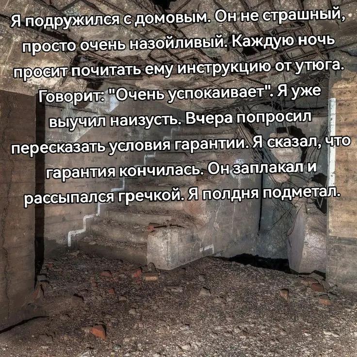Я подружился с домовым. Он. не страшный, `просто очень назойливый. Каждую НОЧЬ почитать ему инструкцию от утюга. Говорит: "Очень успокаивает". Я уже i выучил наизусть Вчера попросил пересказать услови