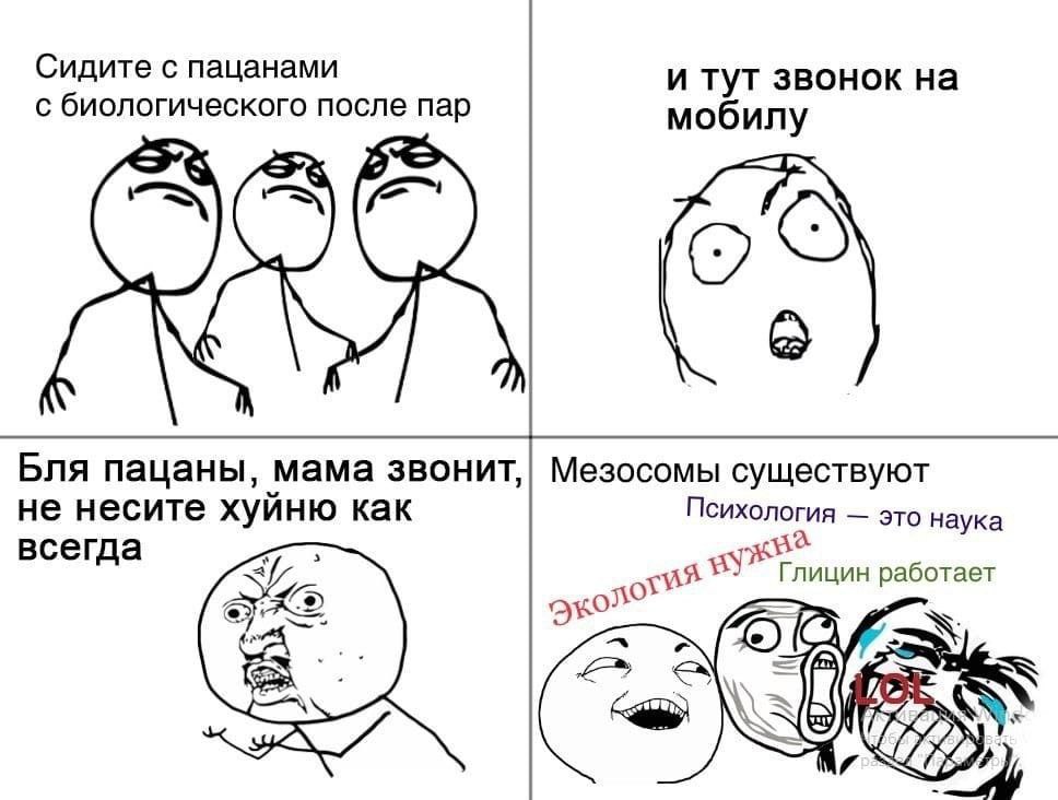 Сидите с пацанами и тут звонок на с биологического после пар мобилу Бля пацаны, мама Мезосомы существуют не несите хуйню как Психология это наука а всегд Ses Глицин работает я а WSs
