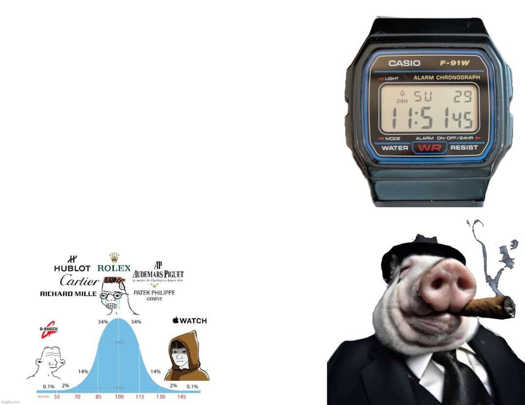 CASIO UGHT ALARM CHRONOGRAPH 145 MODE ALARM WATER RESIST HUBLOT ROLEX AUDEMARS PIGUET RICHARD MILLE PATEK PHILIPPE 4 GENEVE 4 34%, 34% WATCH а G-SHOCK 14% 14% 01% 2% 55 70 85 100 130 145