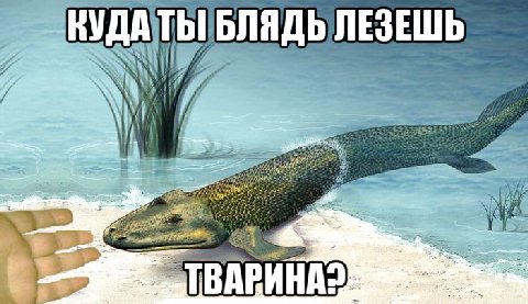 КУДА ТЫ! БЛЯДЬ ЛЕЗЕШЬ 4 9 в it А aed an a