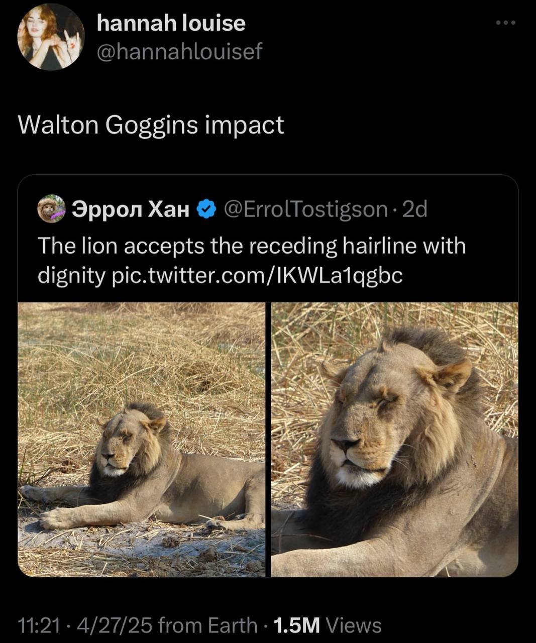 hannah louise @hannahlouisef Walton Goggins impact Эррол Хан @ErrolTostigson The lion accepts the receding hairline with dignity pic.twitter.com/ KWLatagbe 2% 11:21 4/27/25 from Earth Views
