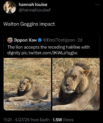 hannah louise @hannahlouisef Walton Goggins impact Эррол Хан @ErrolTostigson The lion accepts the receding hairline with dignity pic.twitter.com/ KWLatagbe 2% 11:21 4/27/25 from Earth Views