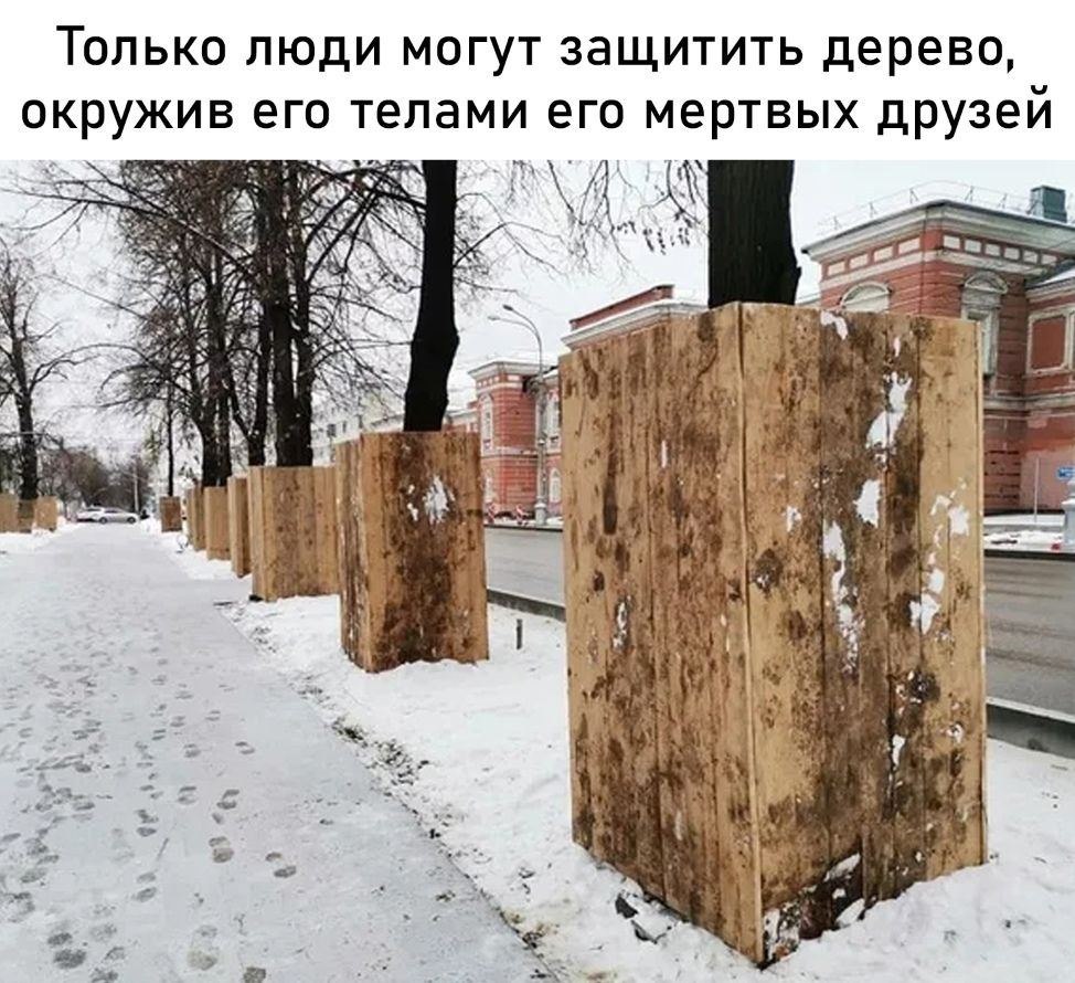 Только люди могут защитить дерево, окружив его телами его мертвых друзеи 3 5: a if i я 4 ‘a 14 vig я 7] А OF у. 4 а