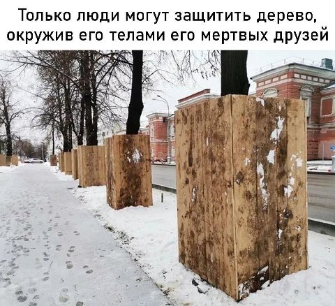 Только люди могут защитить дерево, окружив его телами его мертвых друзеи 3 5: a if i я 4 ‘a 14 vig я 7] А OF у. 4 а