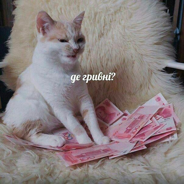 we