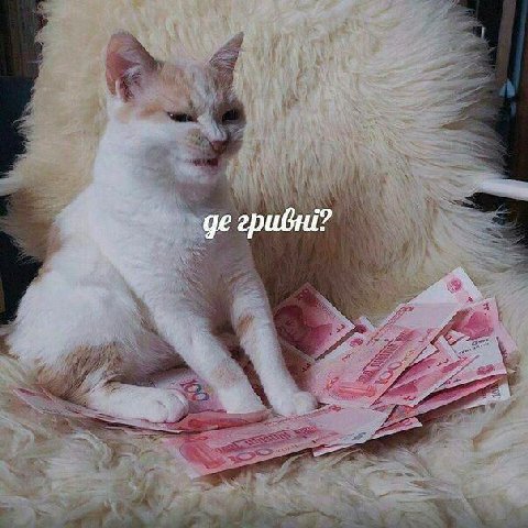 we