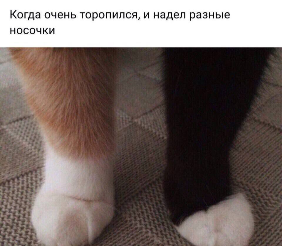 Когда очень торопился, и надел разные