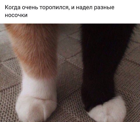 Когда очень торопился, и надел разные