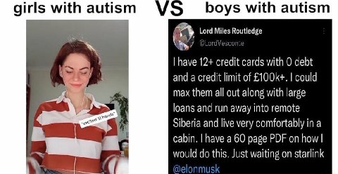 girls with autism boys with autism А have 12+ credit cards with 0 debt and а credit limit of could max them all out along with large loans and run away into remote Siberia and live very comfortably in