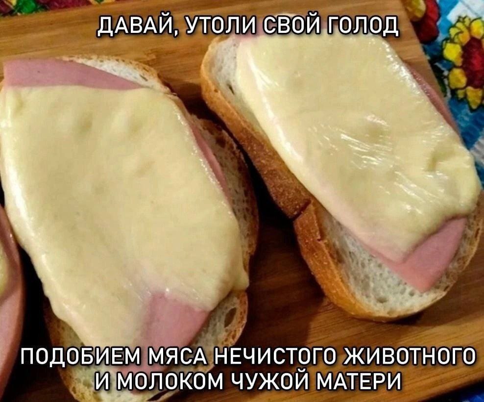 ДАВАЙ, УТОЛИ СВОЙ ПОДОБИЕМ МЯСА НЕЧИСТОГО ЖИВОТНОГО И МОЛОКОМ ЧУЖОЙ МАТЕРИ