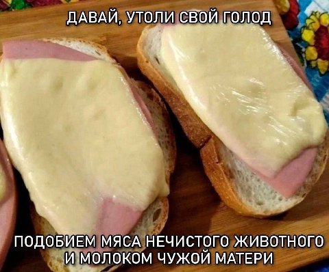 ДАВАЙ, УТОЛИ СВОЙ ПОДОБИЕМ МЯСА НЕЧИСТОГО ЖИВОТНОГО И МОЛОКОМ ЧУЖОЙ МАТЕРИ
