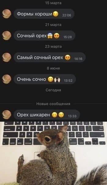 2 Формы хороши Сочный орех Самый сочный орех 2 Очень сочно Орех шикарен A