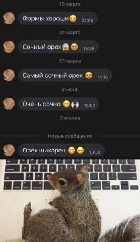 2 Формы хороши Сочный орех Самый сочный орех 2 Очень сочно Орех шикарен A