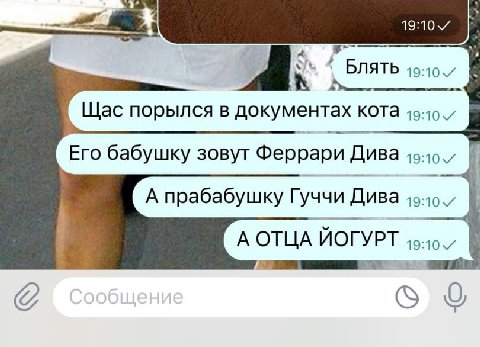 А 4 БЛЯТЬ К Щас порылся в документах кота Его бабушку зовут Феррари Дива А прабабушку Гуччи Дива А ОТЦА ЙОГУРТ