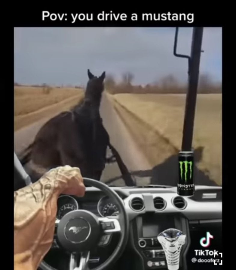 Роу: you drive a mustang Tik ToK