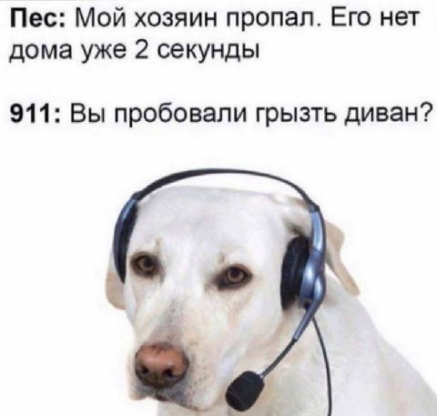 Пес: Мой хозяин пропал. Его нет дома уже 2 секунды 911: Вы пробовали грызть диван?