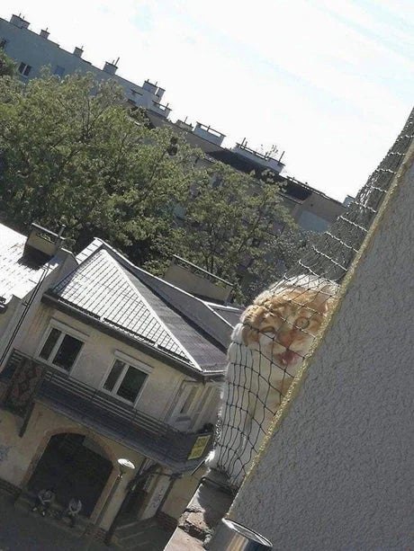 А