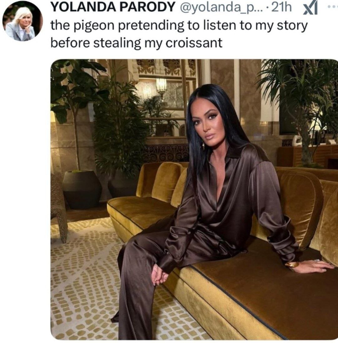 YOLANDA PARODY the pigeon pretending to listen to my story before stealing my croissant
