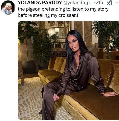 YOLANDA PARODY the pigeon pretending to listen to my story before stealing my croissant
