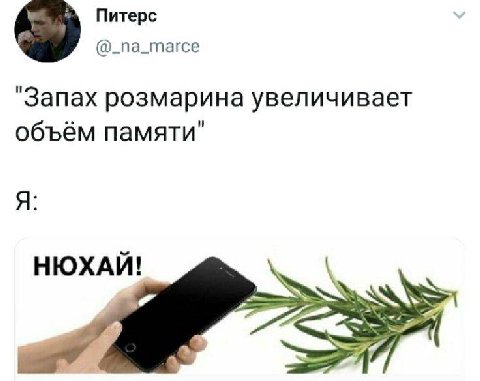 Питерс @_па_тагсе "Запах розмарина увеличивает объём памяти" Я: НЮХАЙ! 4