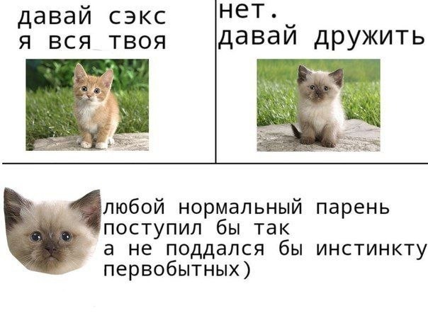 нет. давай сэкс A BCH TBOA давай дружить любой нормальный парень поступил бы так а не поддался бы инстинкту первобытных)