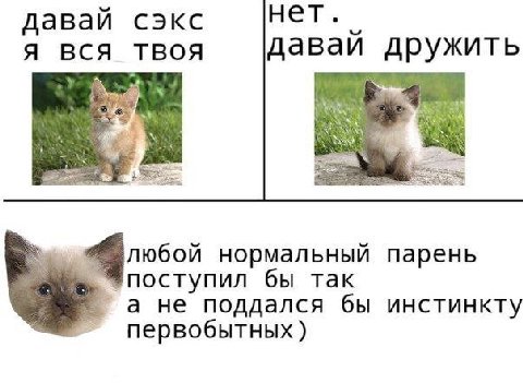 нет. давай сэкс A BCH TBOA давай дружить любой нормальный парень поступил бы так а не поддался бы инстинкту первобытных)