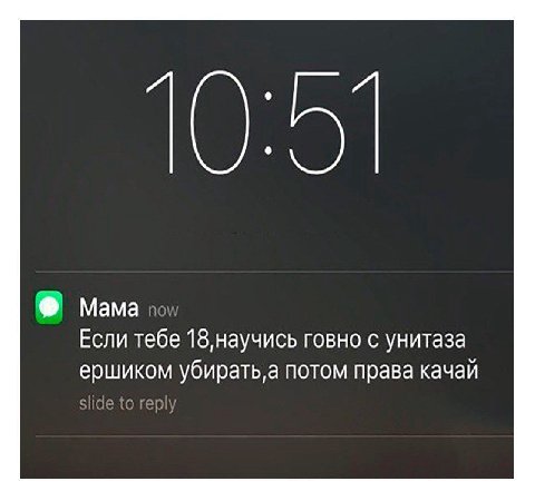 Мама Если тебе говно с унитаза ершиком убирать‚а потом права качай
