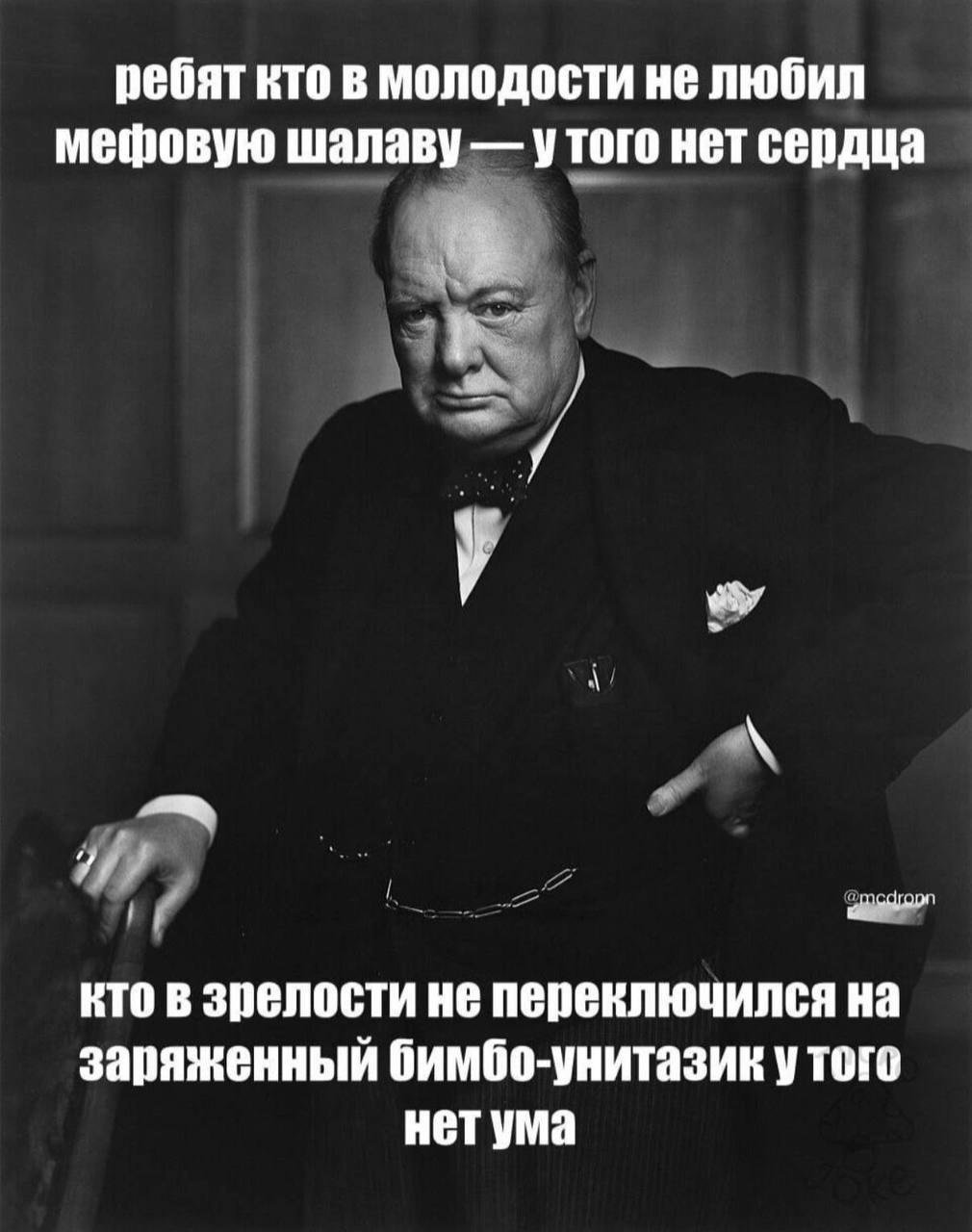 ребят кто в молодости не любил мефовую шалаву утого нет сердца у кто в зрелости не переключился на заряженный бимбо-унитазик у того нет ума