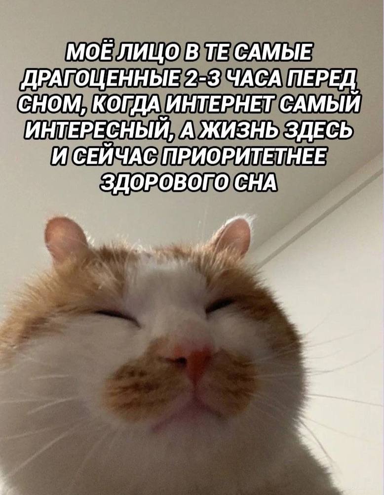 МОЕ ЛИЦО В САМЫЕ ДРАГОЦЕННЫЕ 2-3 ЧАСА ПЕРЕД СНОМ, КОГДА ИНТЕРНЕТ САМЫЙ ИНТЕРЕСНЫЙ, А ЖИЗНЬ ЗДЕСЬ И СЕЙЧАС ПРИОРИТЕТНЕЕ ЗДОРОВОГО СНА