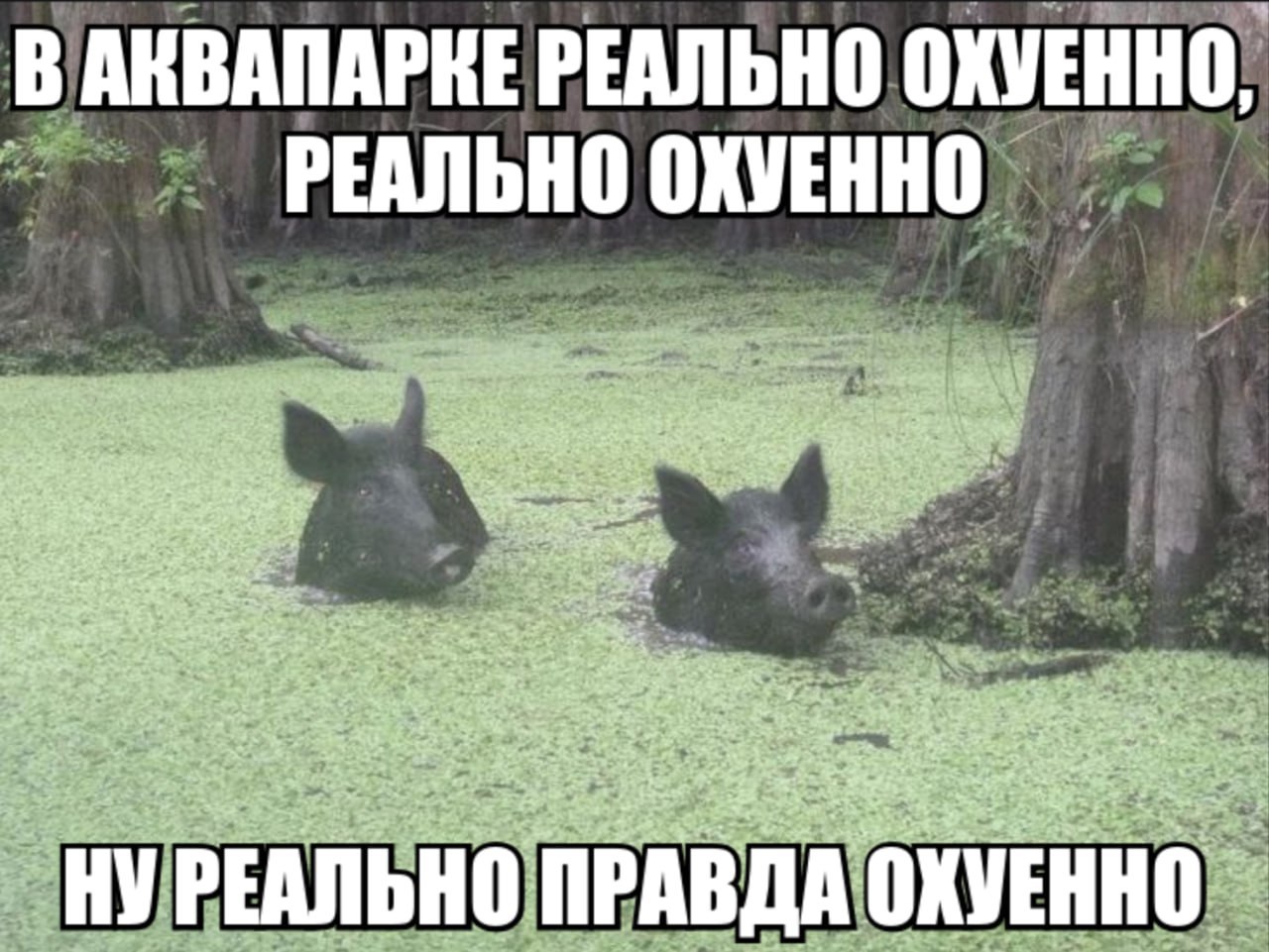 AKBANAPKE РЕАЛЬНО ОХУЕННО, РЕАЛЬНО ОХУЕННО a 2$ A at? a: и a 83 cals? ions a5 НУРЕАЛЬНО А EHHO BOA