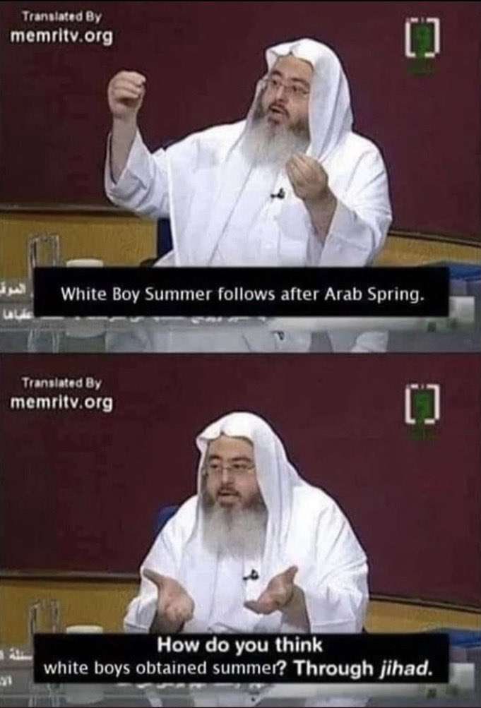 Translated memritv.org у 1 a White Boy Summer follows after Arab Spring. memritv.org у How до you think white boys obtained summer? Through jihad.