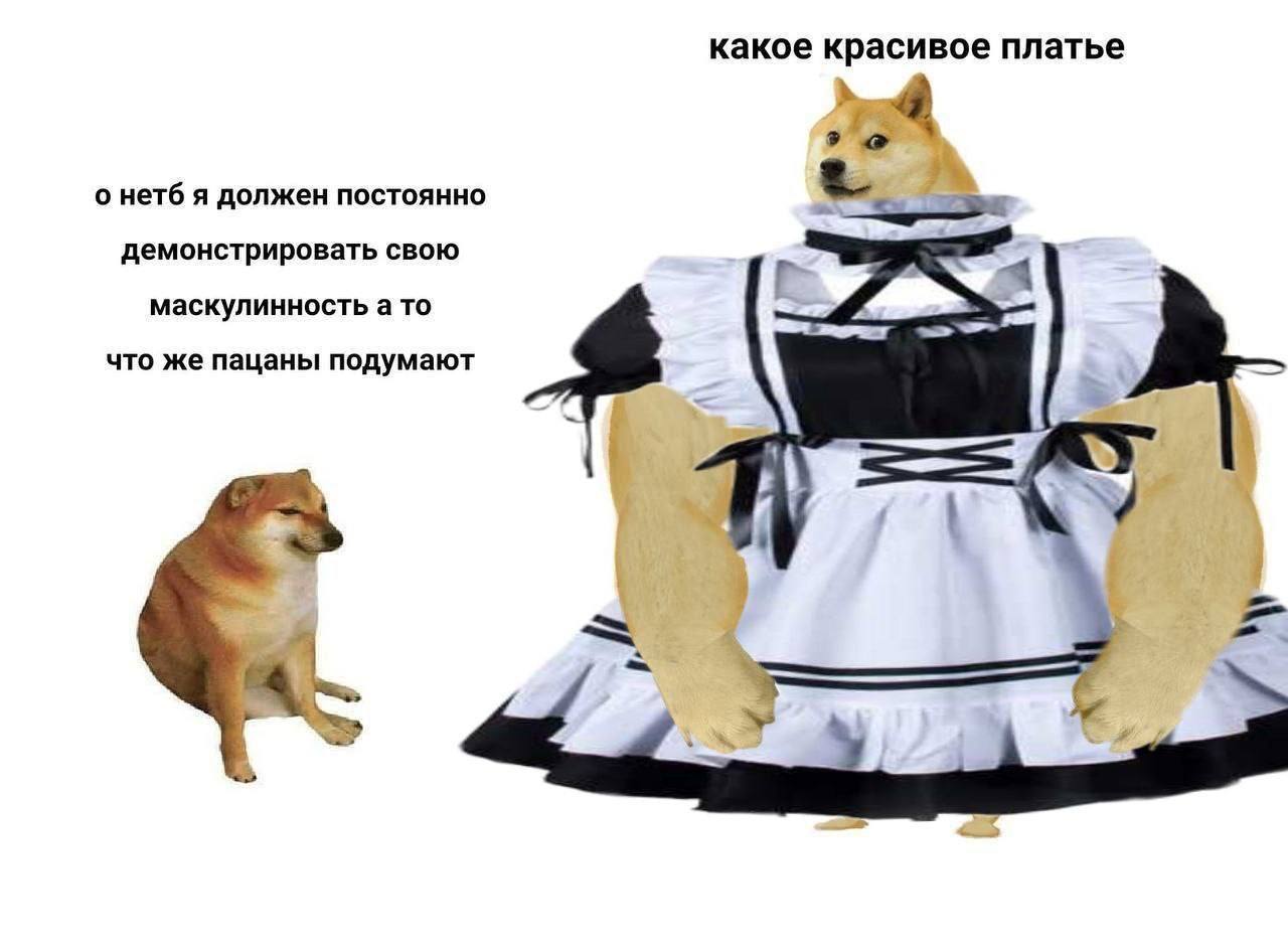 какое красивое платье 4 о нетб я должен постоянно демонстрировать свою маскулинность а то что же пацаны подумают 4 4 be