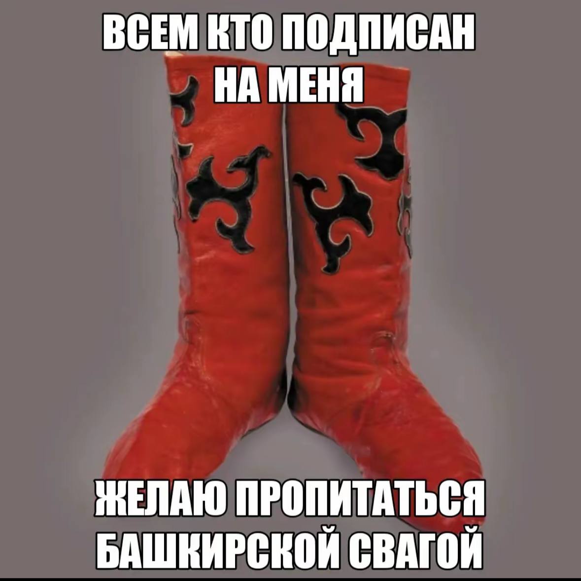 ВСЕМ КТО ПОДПИСАН НА МЕНЯ ЖЕЛАЮ ПРОПИТАТЬСЯ БАШКИРСКОЙ СВАГОЙ