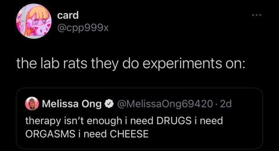 сага @cpp999x the lab rats they experiments on Melissa Ong therapy isn't enough i need DRUGS i need ORGASMS i need CHEESE