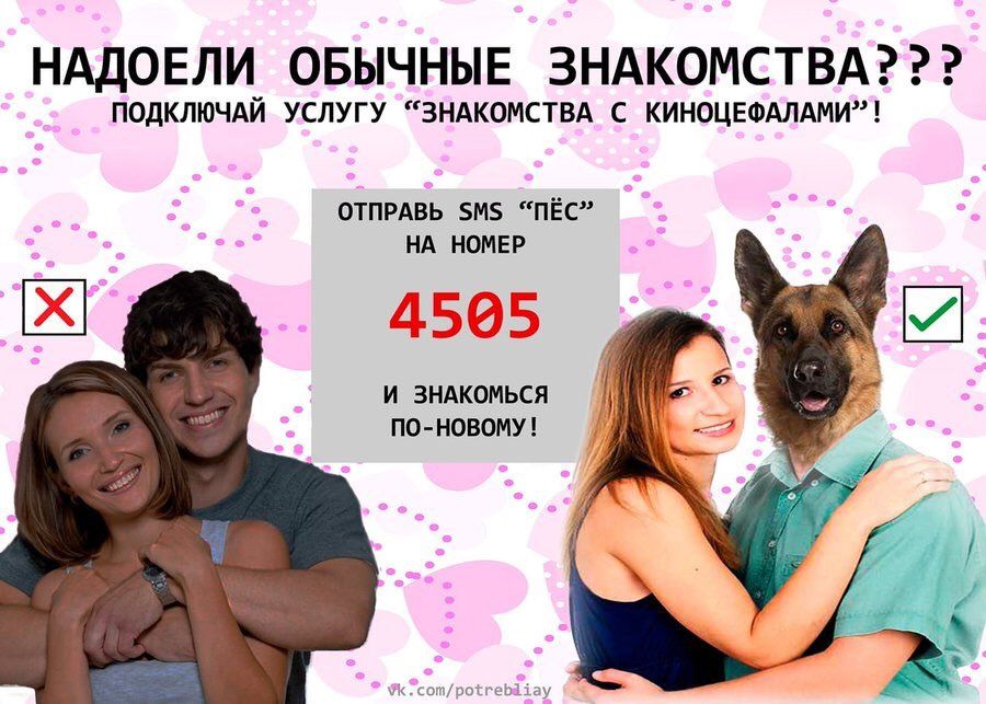 НАДОЕЛИ ОБЫЧНЫЕ ЗНАКОМСТВА??? ПОДКЛЮЧАЙ УСЛУГУ “ЗНАКОМСТВА С КИНОЦЕФАЛАМИ”! ОТПРАВЬ SMS “ПЁС” НА НОМЕР 4505 И ЗНАКОМЬСЯ ПО-НОВОМУ!