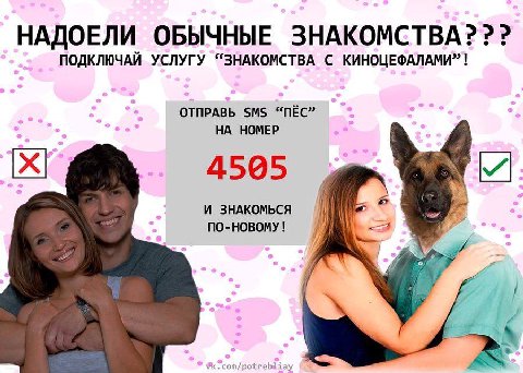 НАДОЕЛИ ОБЫЧНЫЕ ЗНАКОМСТВА??? ПОДКЛЮЧАЙ УСЛУГУ “ЗНАКОМСТВА С КИНОЦЕФАЛАМИ”! ОТПРАВЬ SMS “ПЁС” НА НОМЕР 4505 И ЗНАКОМЬСЯ ПО-НОВОМУ!